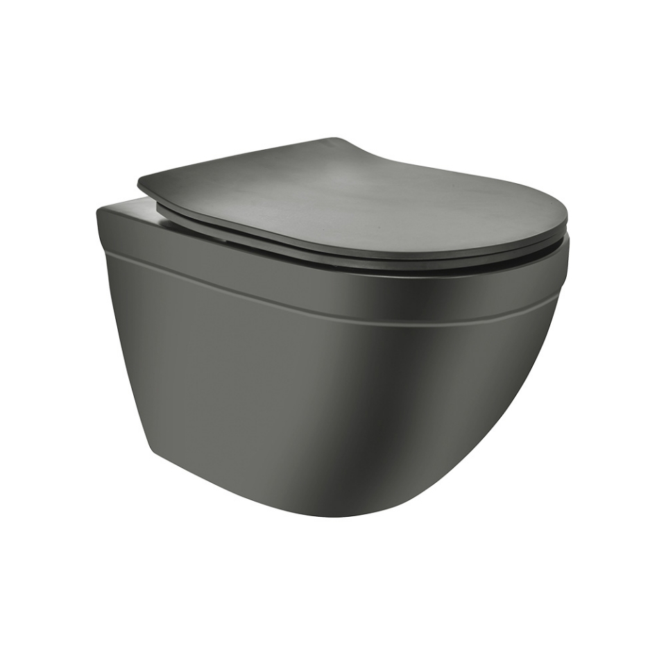 Picture of Rimless Blind Installation Wall Hung WC - Grey Matt