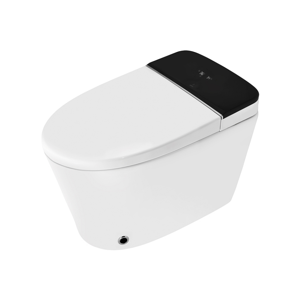 Picture of Fully Automatic Rimless Floor Mounted WC - White